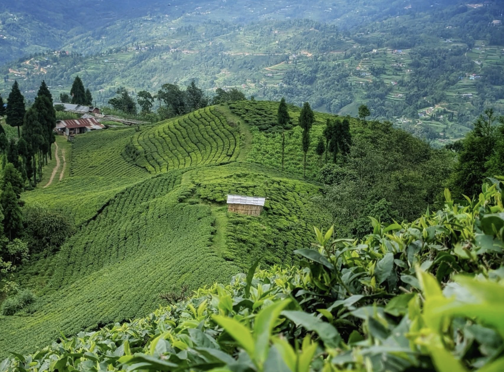 Ilam