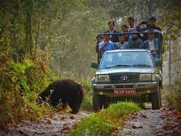 Chitwan Safari Experience